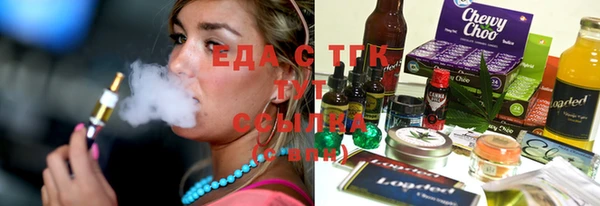 индика Вязьма