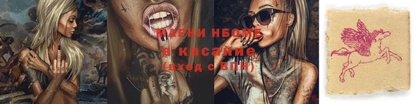 индика Вязьма