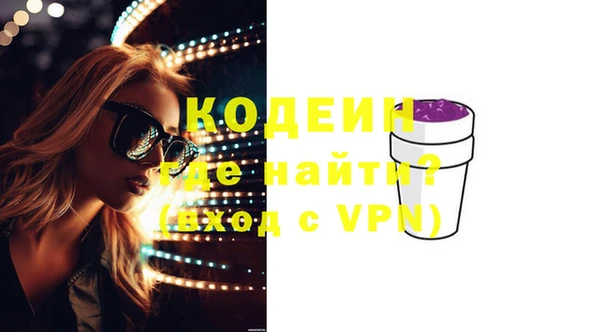 индика Вязьма