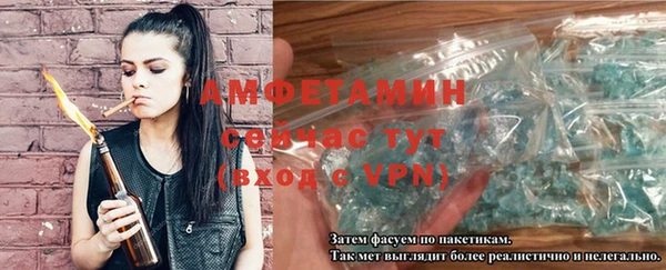 mdpv Вяземский