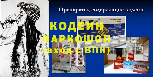 индика Вязьма