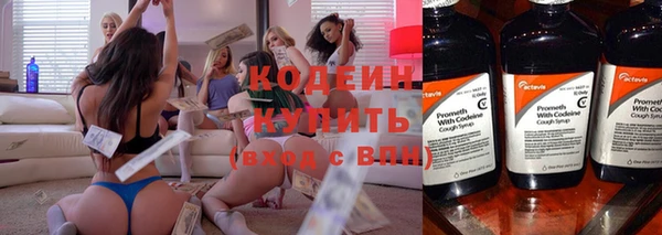 индика Вязьма