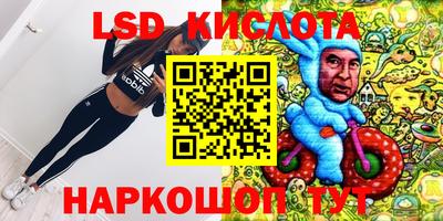 герыч Кингисепп