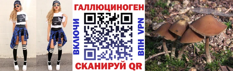 ссылка на мегу ONION  Отрадный  Псилоцибиновые грибы прущие грибы 