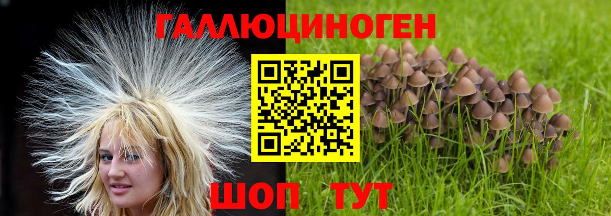 Псилоцибиновые грибы Cubensis Отрадный